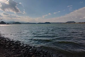 湖山池公園お花畑ゾーン image