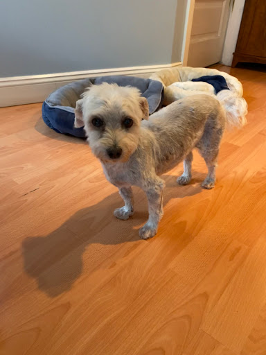 Pet Supply Store «Petco Animal Supplies», reviews and photos, 31090 Dyer St, Union City, CA 94587, USA