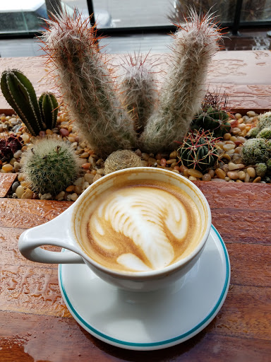 Bird Rock Coffee Roasters - Torrey Pines image