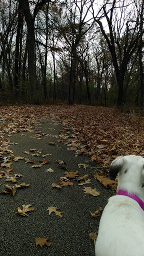 Nature Preserve «Sauk Trail Woods», reviews and photos, 3028 Forest Preserve Dr, Chicago Heights, IL 60411, USA