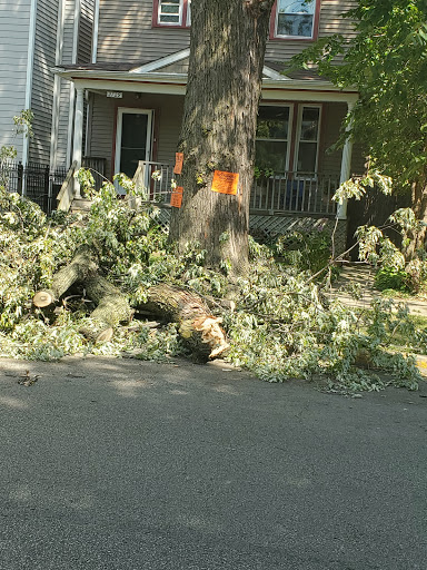 Park «Kosciuszko Park», reviews and photos, 2732 N Avers Ave, Chicago, IL 60647, USA