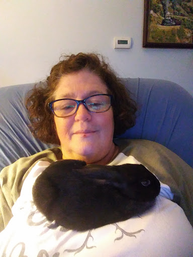 Pet Supply Store «All Pet & Equine Supply», reviews and photos, 1120 Porter Wagoner Blvd, West Plains, MO 65775, USA