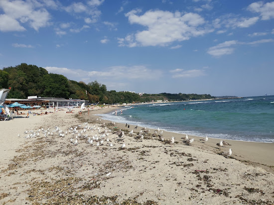 Plyazh Prva Buna