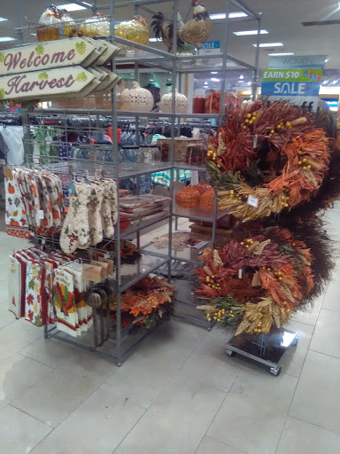 Clothing Store «Bealls Department Store», reviews and photos, 6241 N Davis Hwy, Pensacola, FL 32504, USA