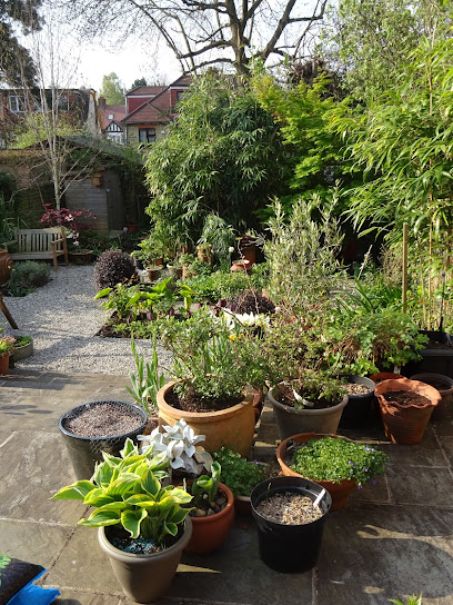 Hampstead Garden Design