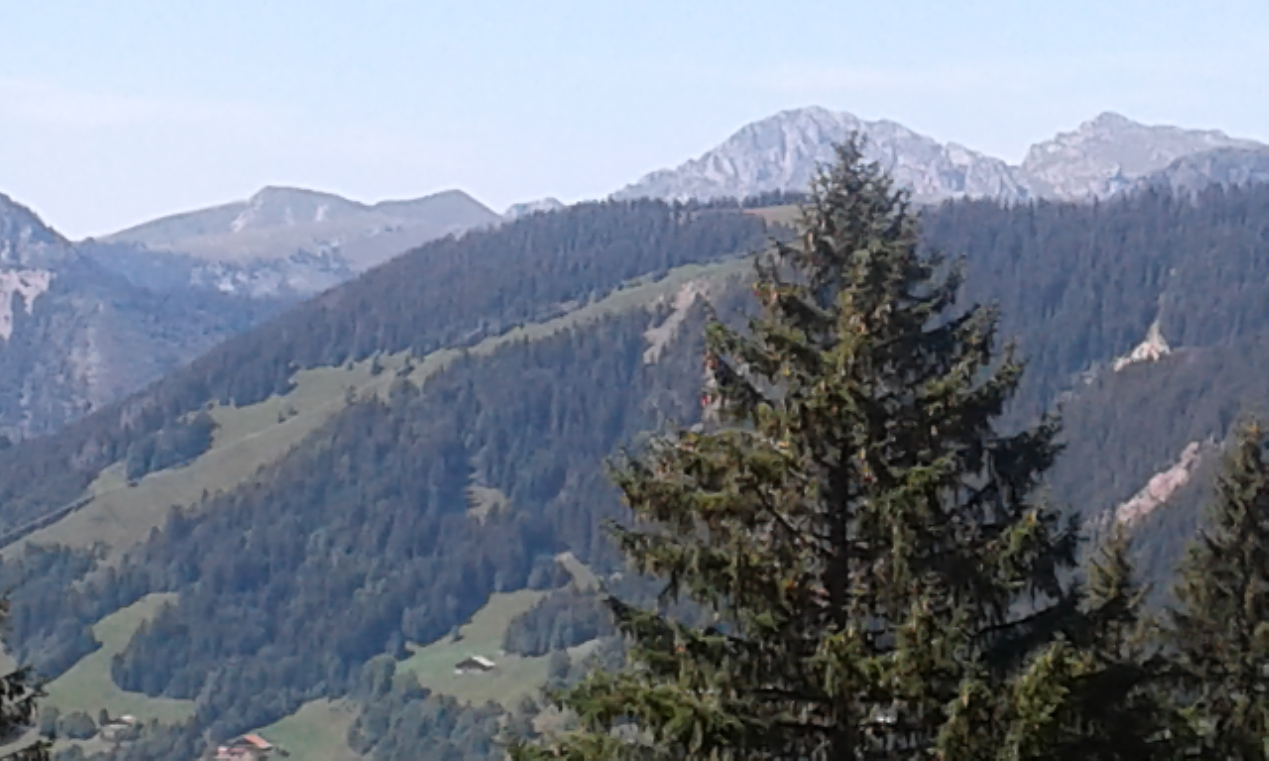 Photo n° 1 de l'avis de Jean.a fait le 07/08/2017 à 16:29