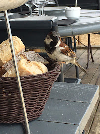 Plats et boissons du Bar-restaurant à huîtres La Conche à Huîtres-Lege Cap Ferret - n°20