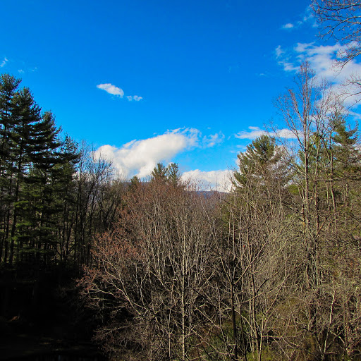 Bed & Breakfast «Red Leaf River Inn», reviews and photos, 146 Chestnut Walk Dr, Waynesville, NC 28786, USA