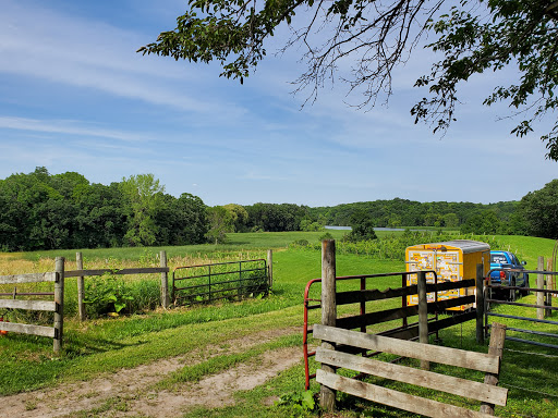 Real Estate Agency «Re/Max Advisors West», reviews and photos, 207 N Chestnut St, Chaska, MN 55318, USA