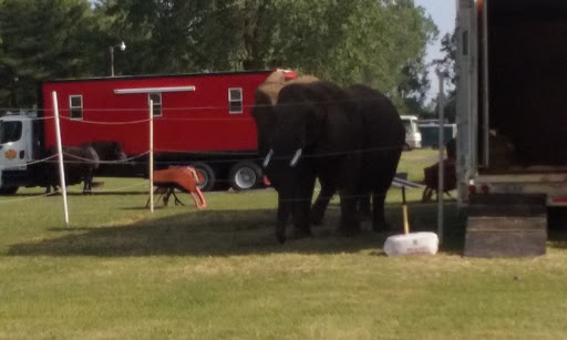 Fairground «Wayne County Fair Grounds», reviews and photos, 10871 Quirk Rd, Belleville, MI 48111, USA
