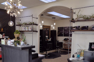 Colour Salon