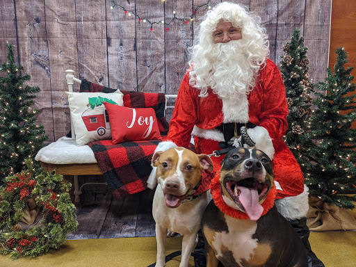 Pet Supply Store «PetSmart», reviews and photos, 3210 E Lynn Blvd, Sterling, IL 61081, USA