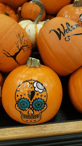 Grocery Store «Winn-Dixie», reviews and photos, 1541 N Nova Rd, Holly Hill, FL 32117, USA