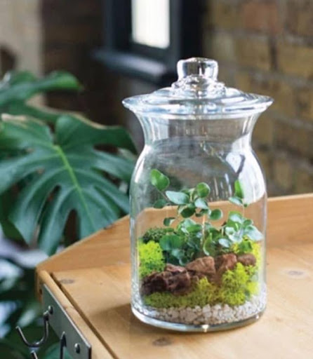 Florist «Bates Flowers by DZyne», reviews and photos, 813 4th Ave, Grinnell, IA 50112, USA