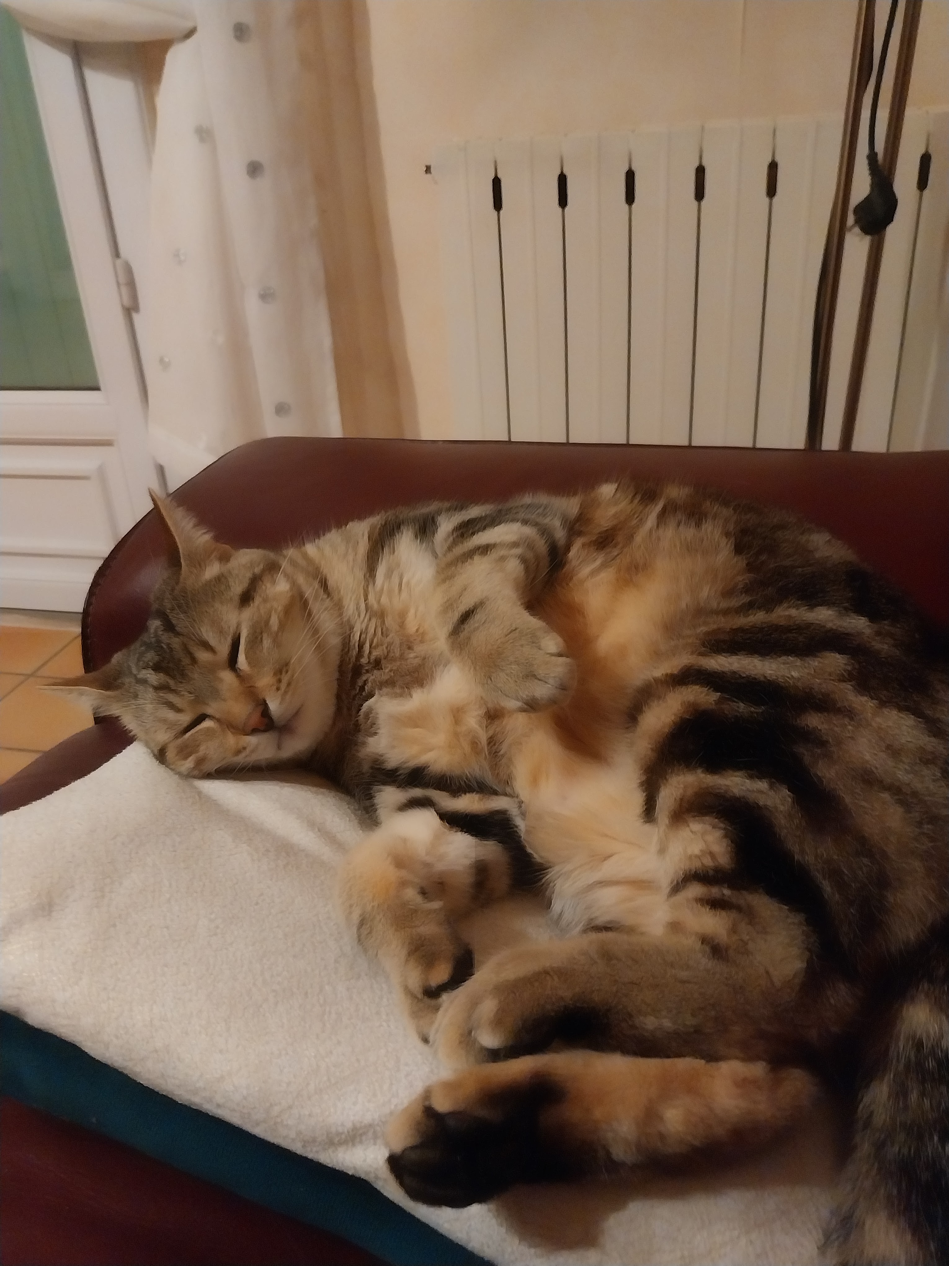Photo n° 1 de l'avis de marie.e fait le 13/02/2024 à 10:40