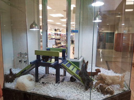 Pet Store «Pet City Pet Shops», reviews and photos, 750 Citadel Dr N # 2092, Colorado Springs, CO 80909, USA