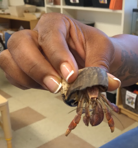 Pet Supply Store «PetSmart», reviews and photos, 2360 W Oregon Ave, Philadelphia, PA 19145, USA