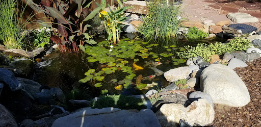 Public Golf Course «Willis Case Golf Course», reviews and photos, 4999 Vrain St, Denver, CO 80212, USA