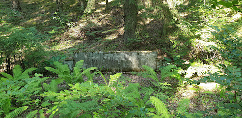 Memorial Site of 1941 Fascist Massacre at Ninierna Lake Cesis , Latvia