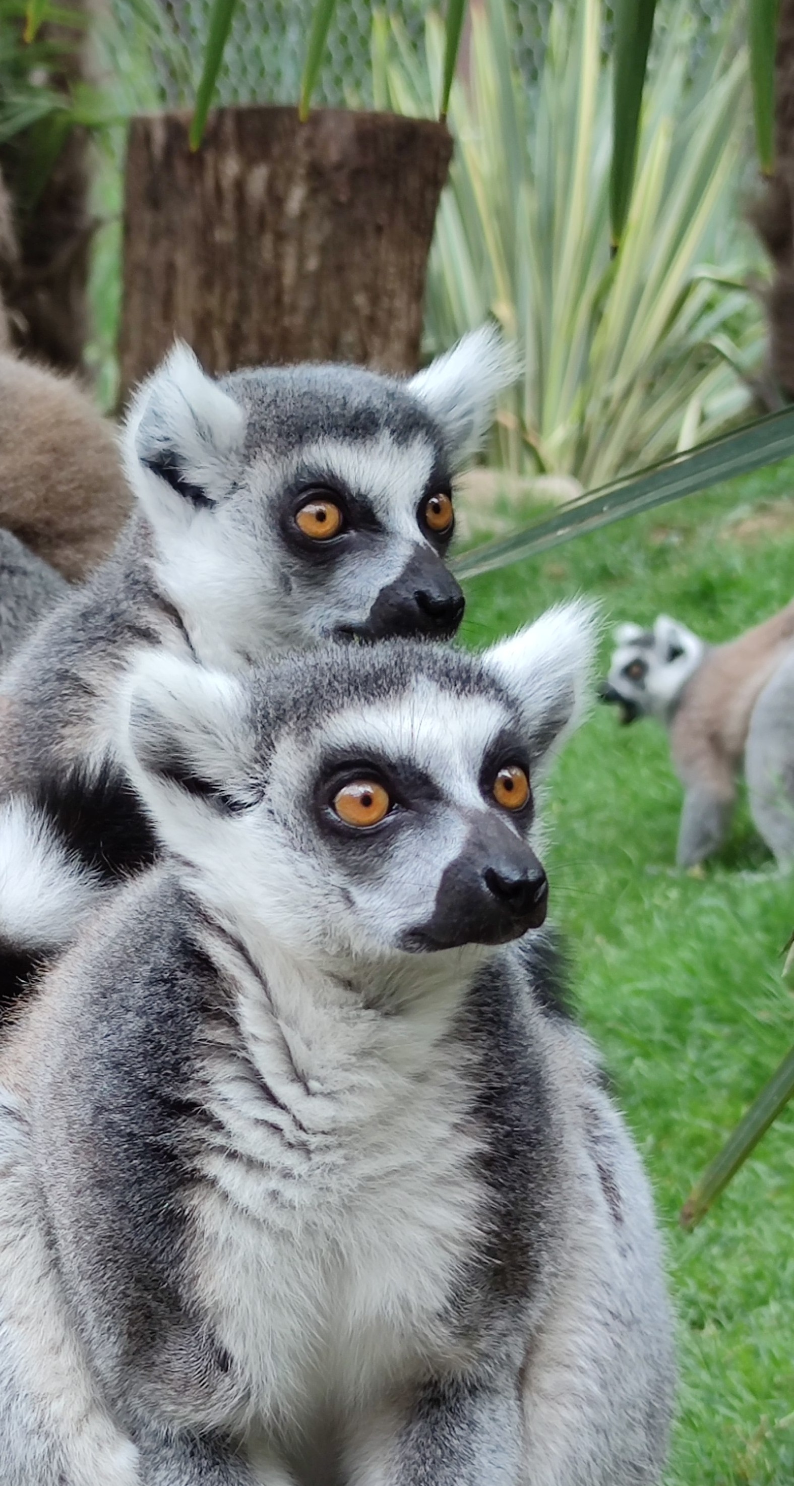 Photo n° 1 de l'avis de Sebastien.A fait le 22/08/2022 à 21:18