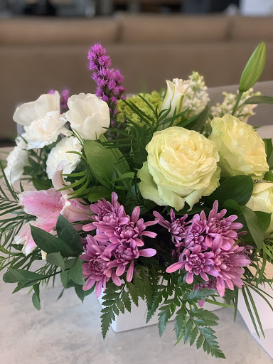 Plant Nursery «Potomac Petals and Plants», reviews and photos, 9545 River Rd, Rockville, MD 20854, USA