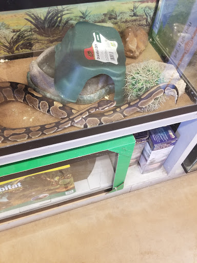 Pet Store «Oasis Tropicals», reviews and photos, 507 Commerce St, Pleasanton, TX 78064, USA