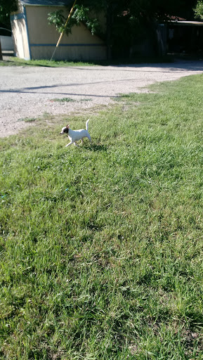 Park «Buckner Park», reviews and photos, 4550 Worth St, Dallas, TX 75246, USA