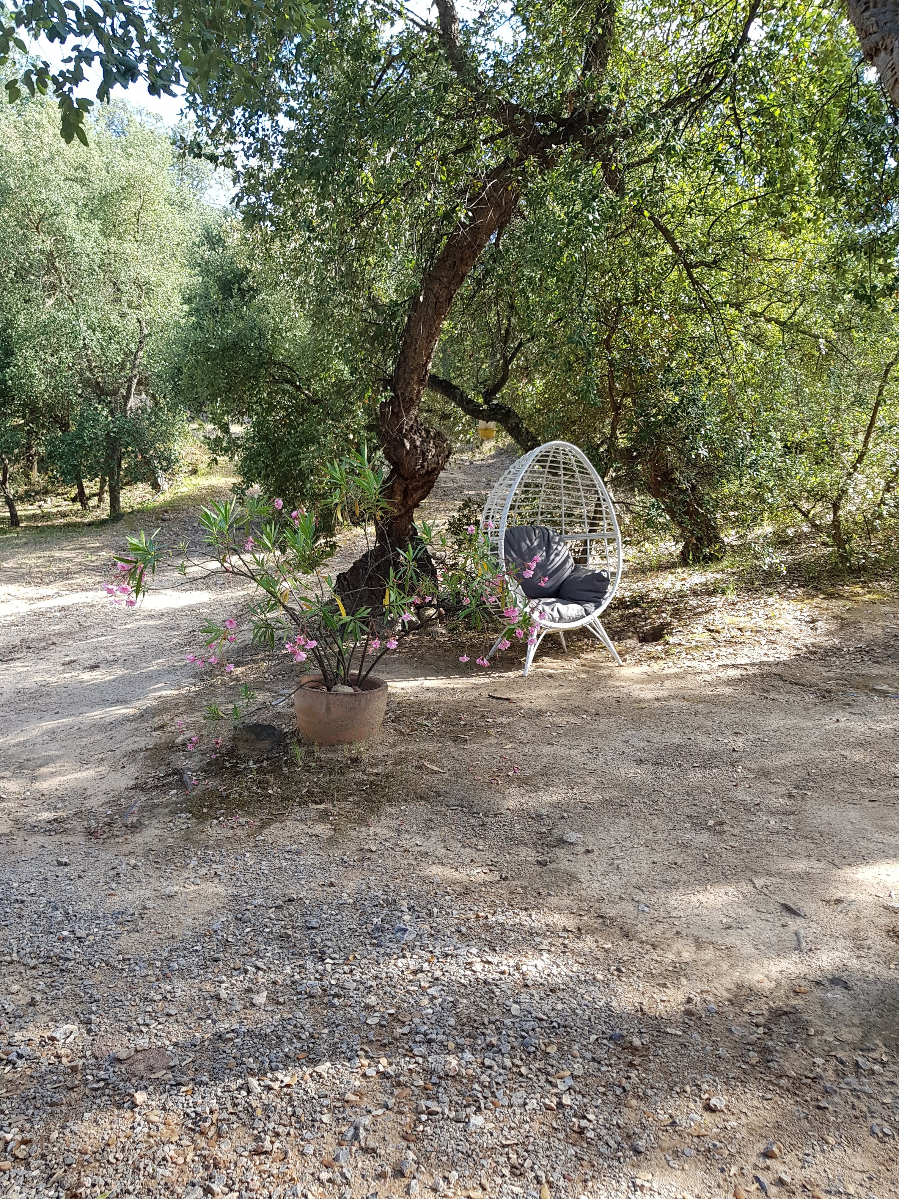 Photo n° 2 de l'avis de Yves.. fait le 13/07/2019 à 07:26