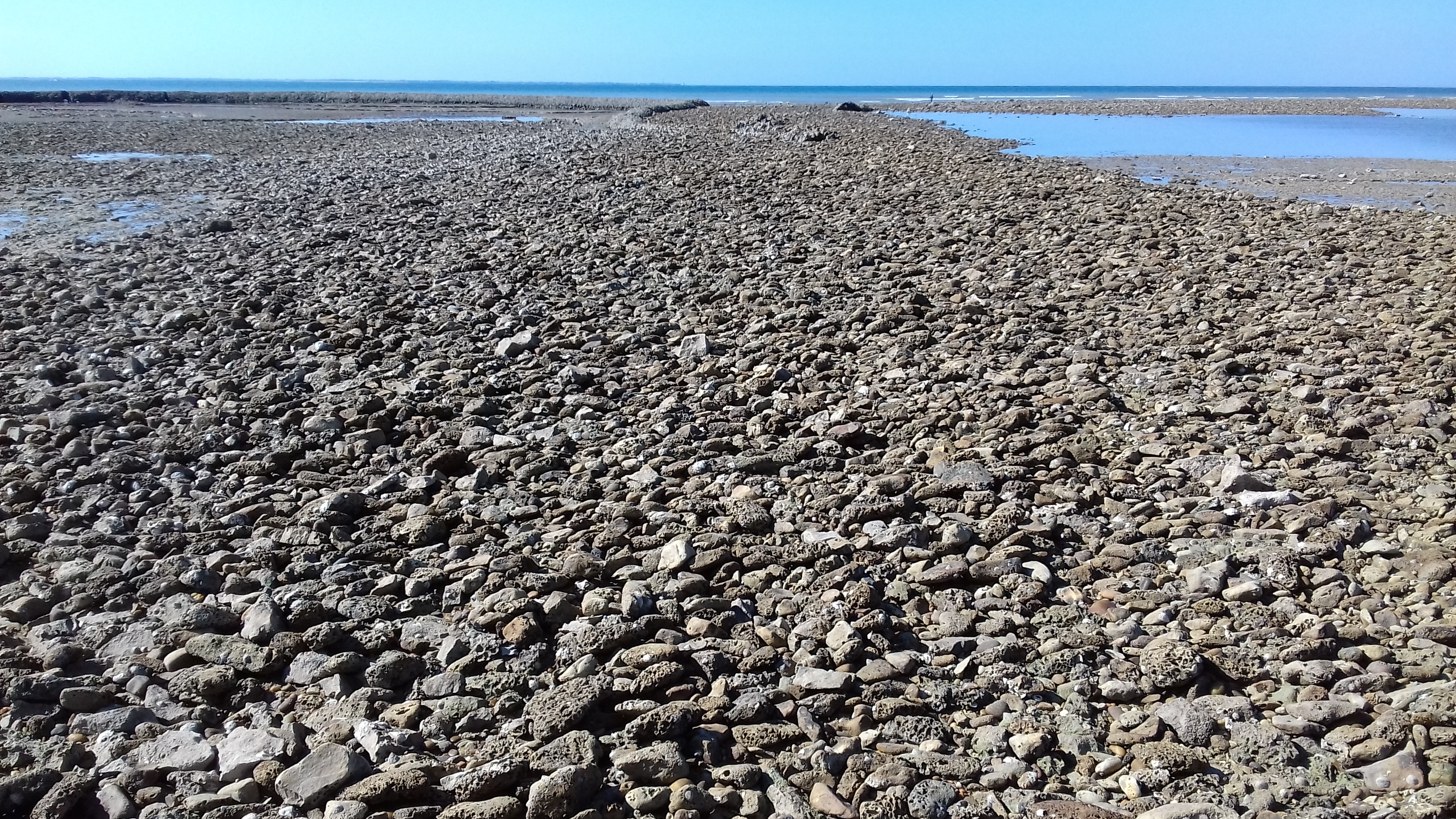 Photo n° 4 de l'avis de J.L fait le 10/09/2018 à 06:42