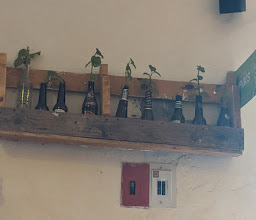 Chía Fonda Vegana photo