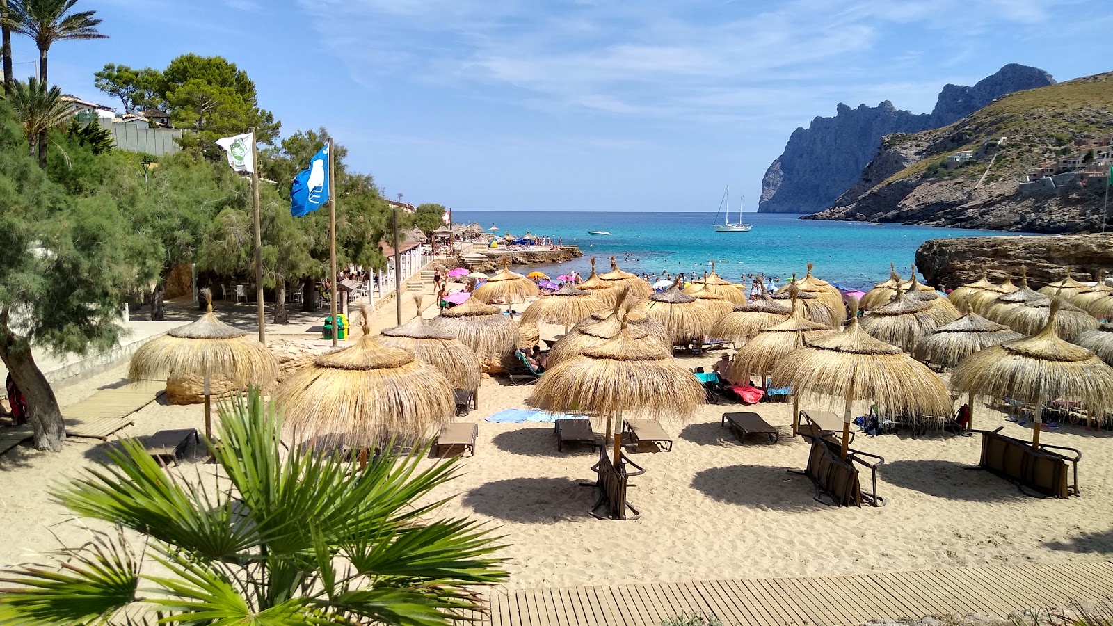 Photo of Playa de Cala Molins with very clean level of cleanliness