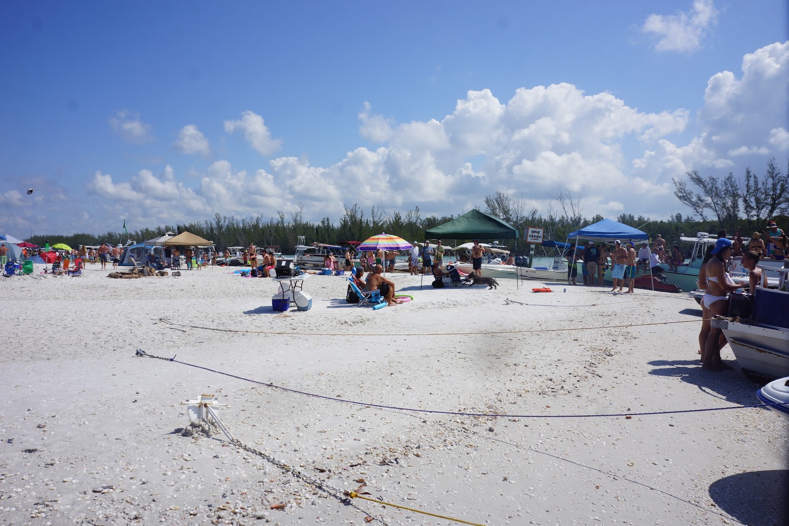 Fotografie cu Keewaydin Island beach cu drept și lung