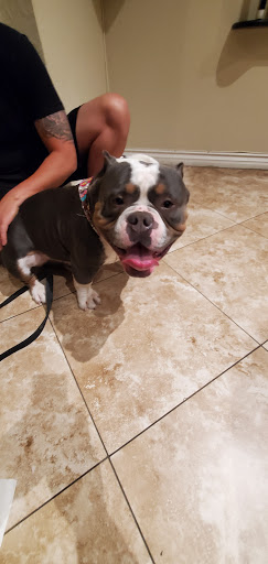 Pet Supply Store «PetSmart», reviews and photos, 11945 Central Ave, Chino, CA 91710, USA