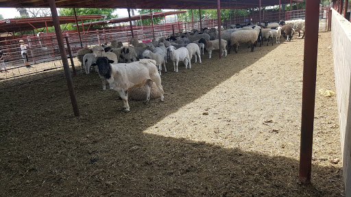 Meat Wholesaler «Lizze Custom Processing», reviews and photos, 7310 Pine Ave, Chino, CA 91708, USA