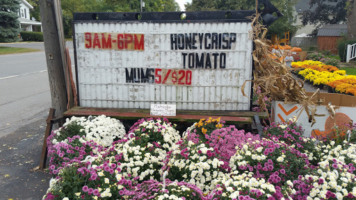 Produce Market «Maiers Homestead Farm Market», reviews and photos, 5672 E Avon Lima Rd, Avon, NY 14414, USA
