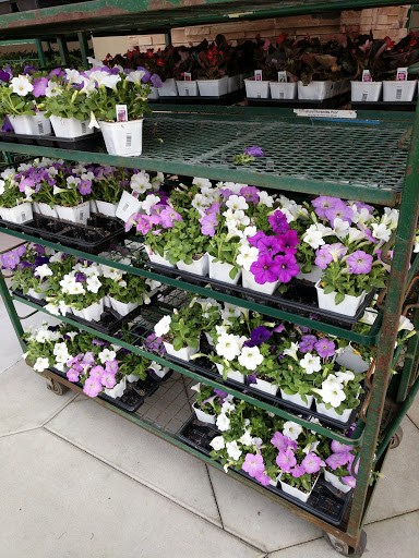 Discount Store «99 Cents Only Stores», reviews and photos, 1308 Madonna Rd, San Luis Obispo, CA 93405, USA