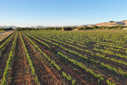 Sonoran Wines / Vineyards
