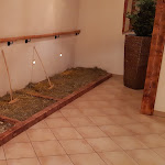 Photo n°9 de l'avis de Alessandro.r fait le 06/11/2021 à 20:30 sur le  Hotel Kronplatzer Hof à Rasun di Sopra