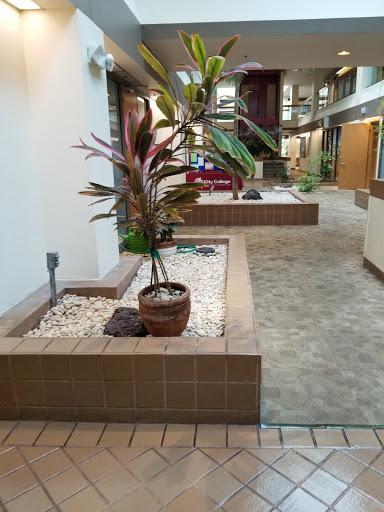 College «City College Fort Lauderdale», reviews and photos