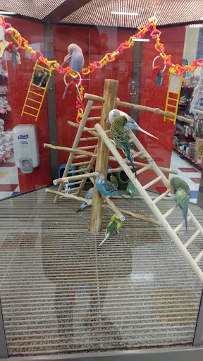 Pet Supply Store «Petco Animal Supplies», reviews and photos, 2340 Holcomb Bridge Rd, Roswell, GA 30076, USA