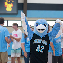 Pacific Ridge School - Photo 9 - Car repair in Carlsbad, CA, Carlsbad