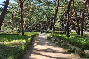 Solbat Neighborhood Park image