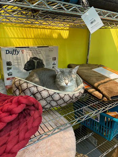 Pet Supply Store «Animal House Pet Supplies», reviews and photos, 733 Phillips Blvd, Sauk City, WI 53583, USA