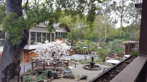 Shopping Mall «Carlmont Village Shopping Center», reviews and photos, 1049 Alameda de las Pulgas, Belmont, CA 94002, USA