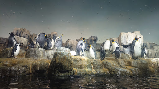 Zoo «Central Park Zoo», reviews and photos, E 64th St & 5th Ave, New York, NY 10021, USA