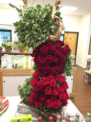 Grocery Store «Heartland Taiwanese Organic grocery Store», reviews and photos, 13925 Yale Ave, Irvine, CA 92620, USA