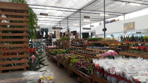 Esalflores Floricultura e Garden Center