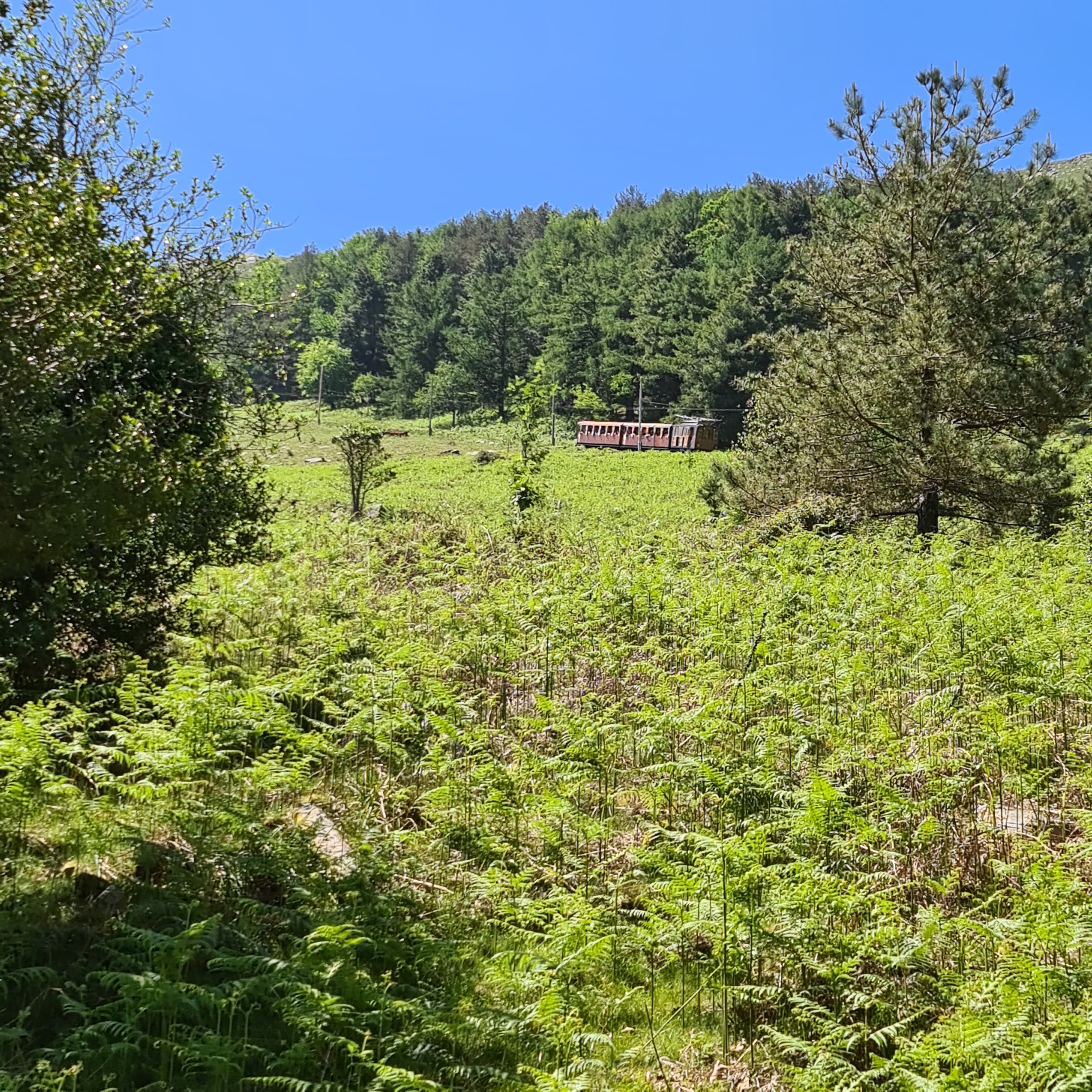 Photo n° 2 de l'avis de Emma. fait le 30/05/2022 à 14:47