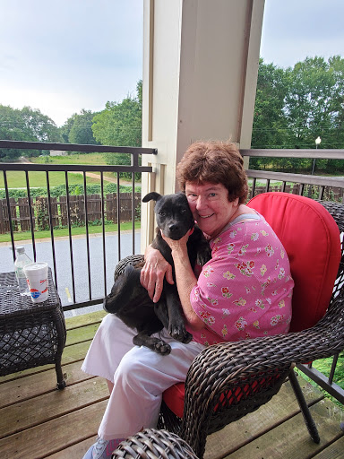 Animal Protection Organization «Greenville Humane Society», reviews and photos