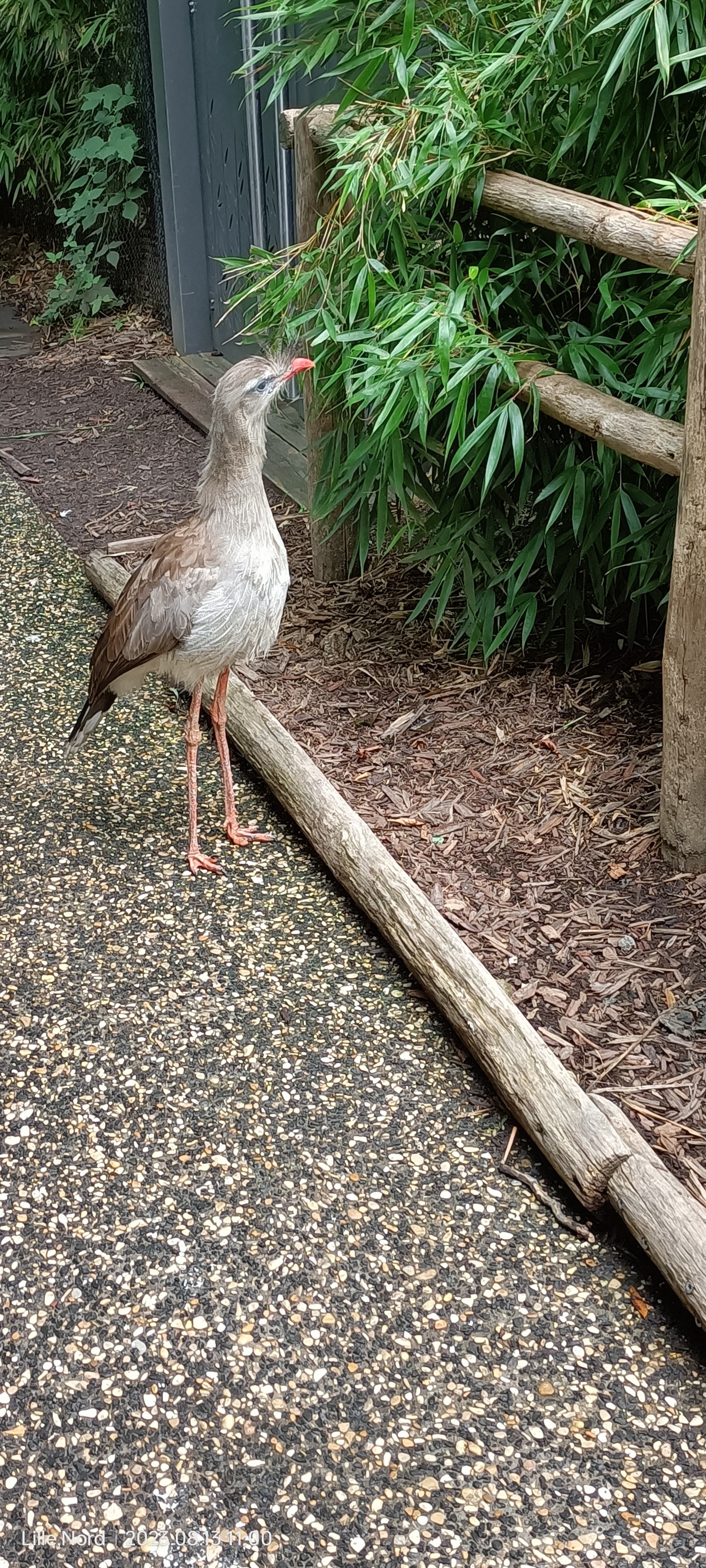 Photo n° 14 de l'avis de Chloe.r fait le 15/08/2023 à 11:04